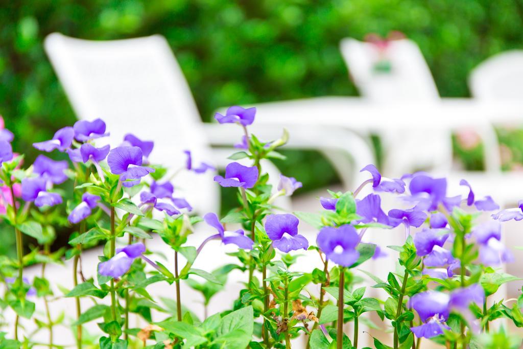 Lilac Relax-residence 3* Banguecoque